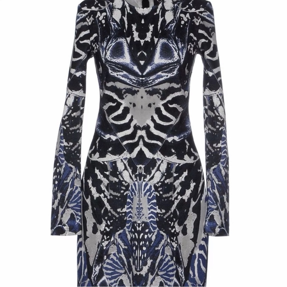 ALEXANDER McQUEEN Rare Beetle Dress - Picture 6 of 9